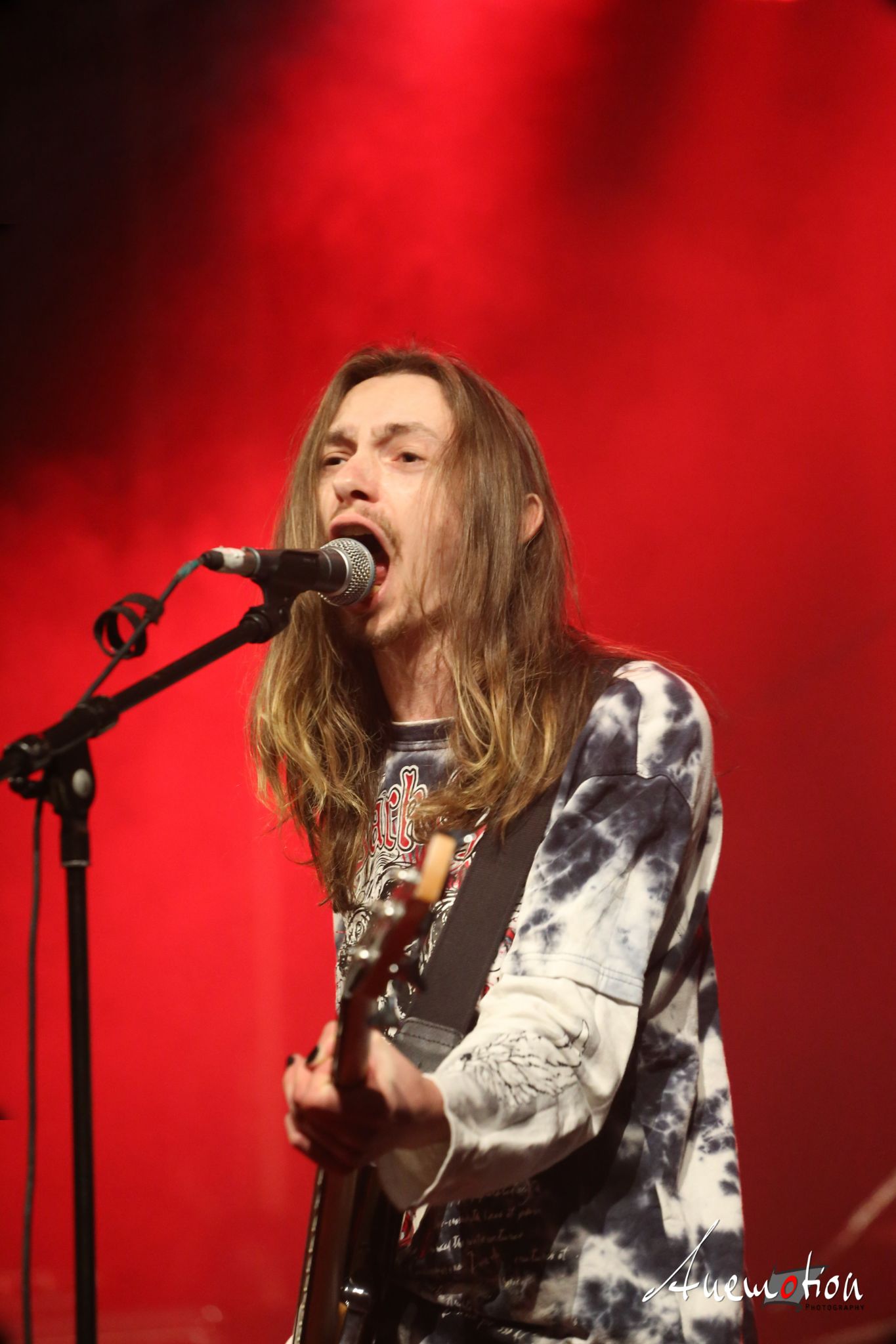 ElephantsFalling (5)